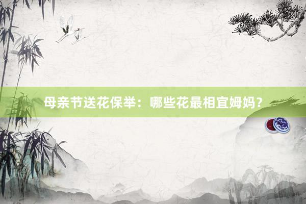 母亲节送花保举：哪些花最相宜姆妈？