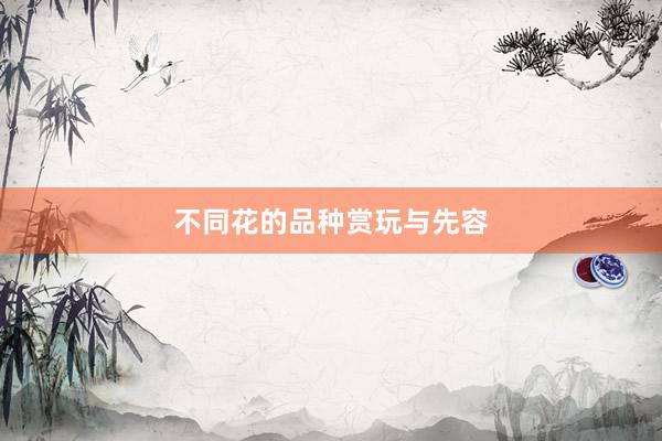 不同花的品种赏玩与先容