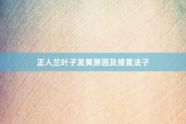 正人兰叶子发黄原因及措置法子