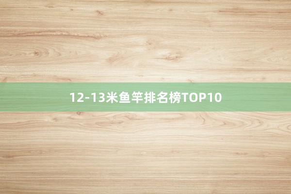 12-13米鱼竿排名榜TOP10